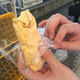 Illustration for article titled Japan Has Crepe Vending Machines